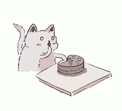 Birthday Cat Fast Eating