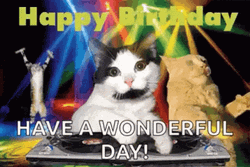 Birthday Cat Party Have A Wonderful Day GIF