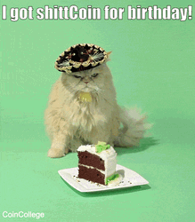 Birthday Cat Shittcoin Celebration