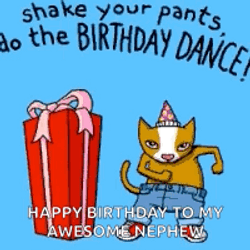 Birthday Dance Cat And A Box GIF