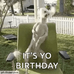 Birthday Funny GIF