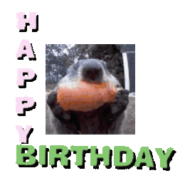 Birthday Geburtstag Sticker GIF