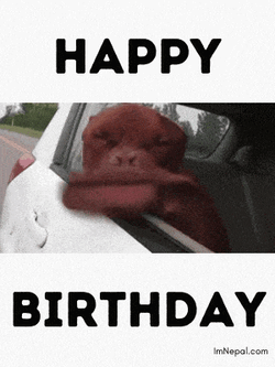 Birthday Wishes GIF