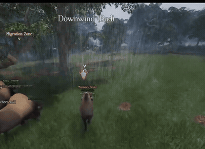 Bison Named Cheeseball In The Rain GIF