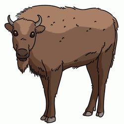 Bison Nodding Close Eyes GIF