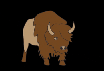 Bison Nose Blowing Air GIF