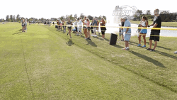 Bison Runner Finish Line GIF