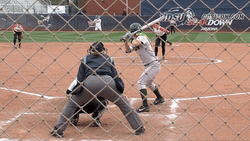 Bison Softball Swinging Bat GIF