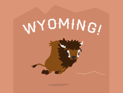 Bison Wyoming Running Fast GIF