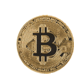 Bitcoin Bitcoins Sticker GIF