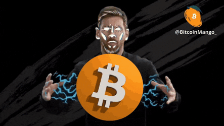 Bitcoin Btc GIF