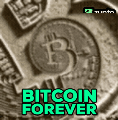Bitcoin Coin With B And Forever GIF