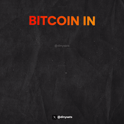 Bitcoin Days Years Decades Poster GIF