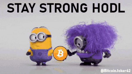 Bitcoin Hodl GIF
