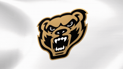 Black And Gold Bear With Angry Face GIF