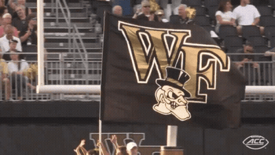 Black And Gold Flag With Letters W And T GIF