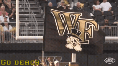 Black And Gold WT Flag Flying In Wind GIF