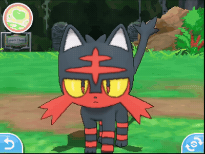 Black And Red Cat With Yellow Eyes In Grassy Field GIF