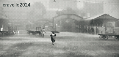 Black And White 2024 Photo GIF