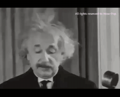 Black And White Albert Einstein Giving Speech GIF