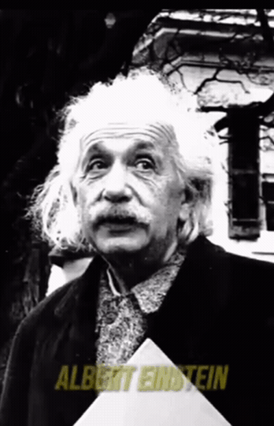 Black And White Albert Einstein GIF