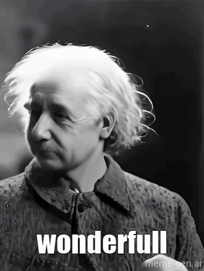 Black And White Albert Einstein Saying Wonderful GIF