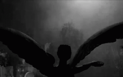 Black And White Angel Statue Wings Spread GIF