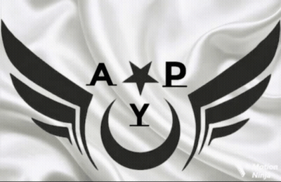 Black And White APY Logo GIF