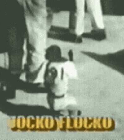 Black And White Baseball Player Number 91 GIF