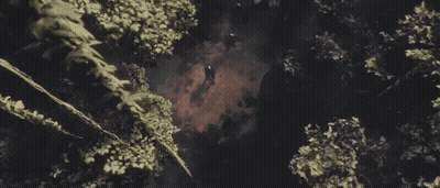 Black And White Bird Flying In Rain GIF