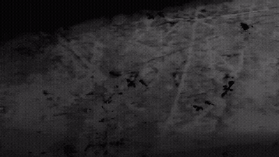 Black And White Birds Flying In Cloudy Sky GIF