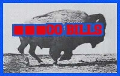Black And White Bison With Co Bulls In Red GIF