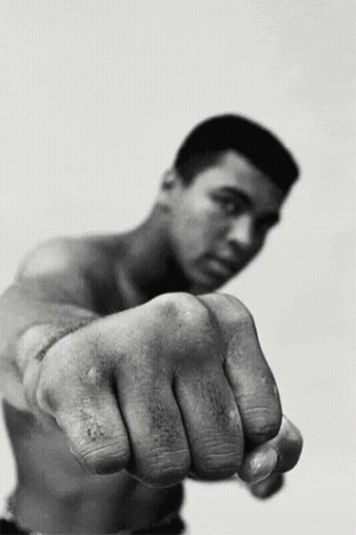 Black And White Boxer Fist Pointing At Camera GIF
