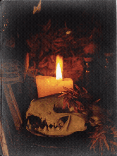 Black And White Candle And Skull GIF