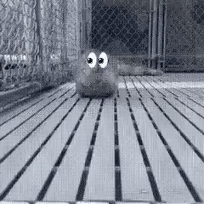 Black And White Cartoon Character With Big Eyes Walking On Wooden Floor GIF