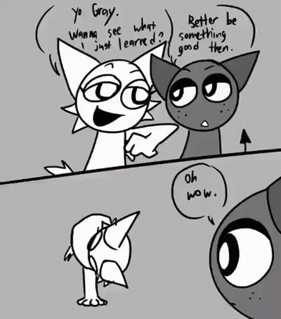 Black And White Cat And Bird Talking GIF