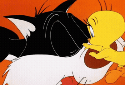 Black And White Cat And Yellow Bird GIF