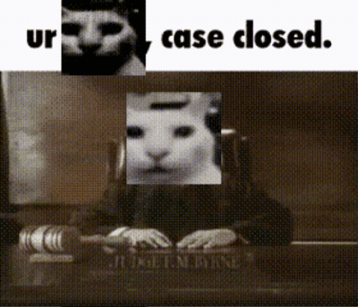 Black And White Cat Behind Judge Bench Saying Case Closed GIF