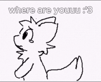 Black And White Cat Come Back Rawr My Babe GIF