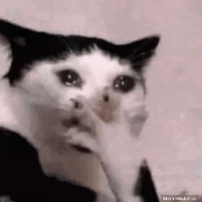Black And White Cat Crying Covering Face GIF