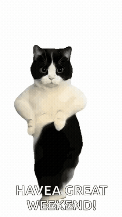 Black And White Cat Dancing With Arms Outstretched GIF