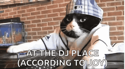 Black And White Cat DJ In Baseball Uniform GIF