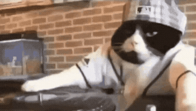 Black And White Cat DJ In Hat And Hoodie GIF