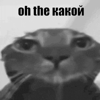 Black And White Cat Face With Oh The Kakoy GIF