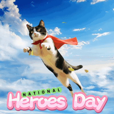 Black And White Cat Flying On National Heroes Day Flyer GIF