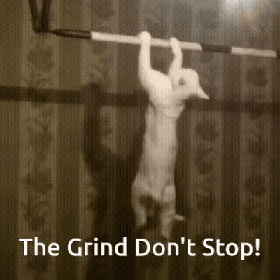 Black And White Cat Hanging On Bar GIF