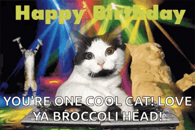 Black And White Cat Happy Birthday Cool Cat Broccoli Head GIF