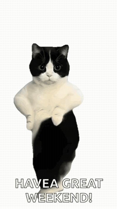 Black And White Cat Have A Great Weekend GIF