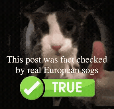 Black And White Cat Held In Hand GIF