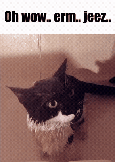Black And White Cat In Bathtub Saying Oh Wow Erm Jeez GIF